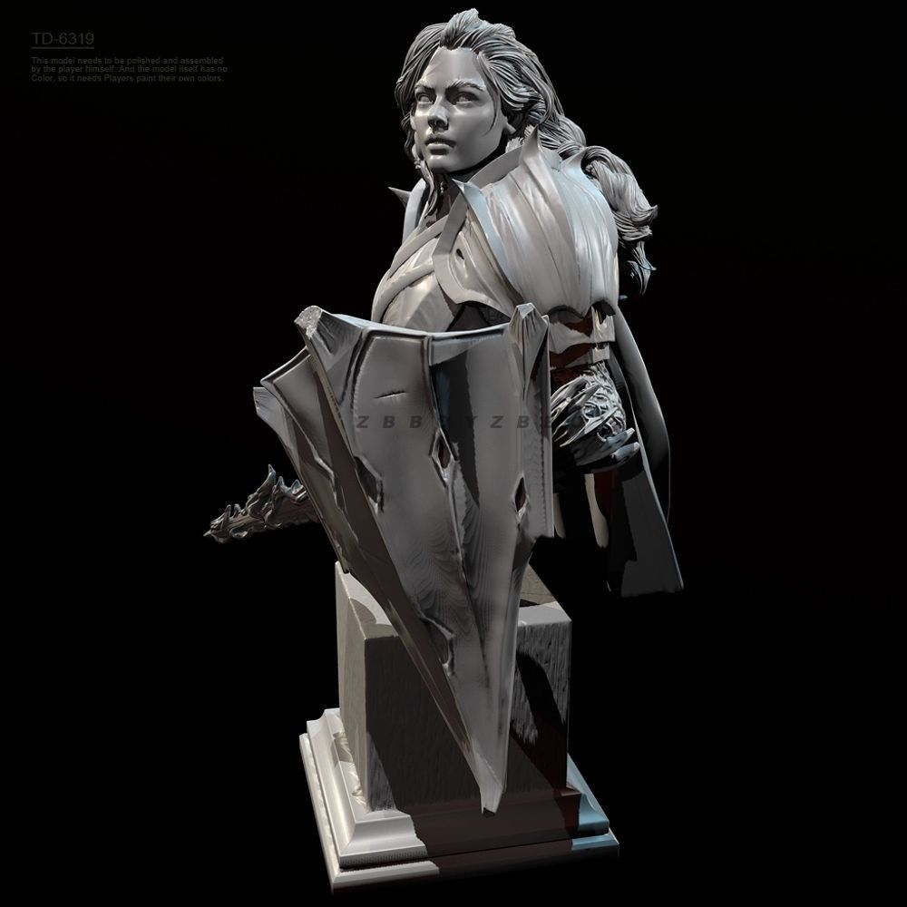 55mm 70mm Bust of A Female Kni - Model Kit Knight recension och pris