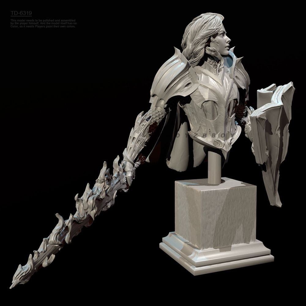55mm 70mm Bust of A Female Kni - Model Kit Knight recension och pris