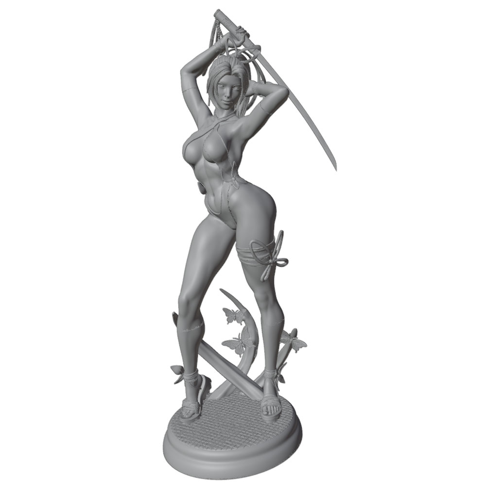 1/24 Female 	Warrior Resin Mod - Model Kit Hg recension och pris