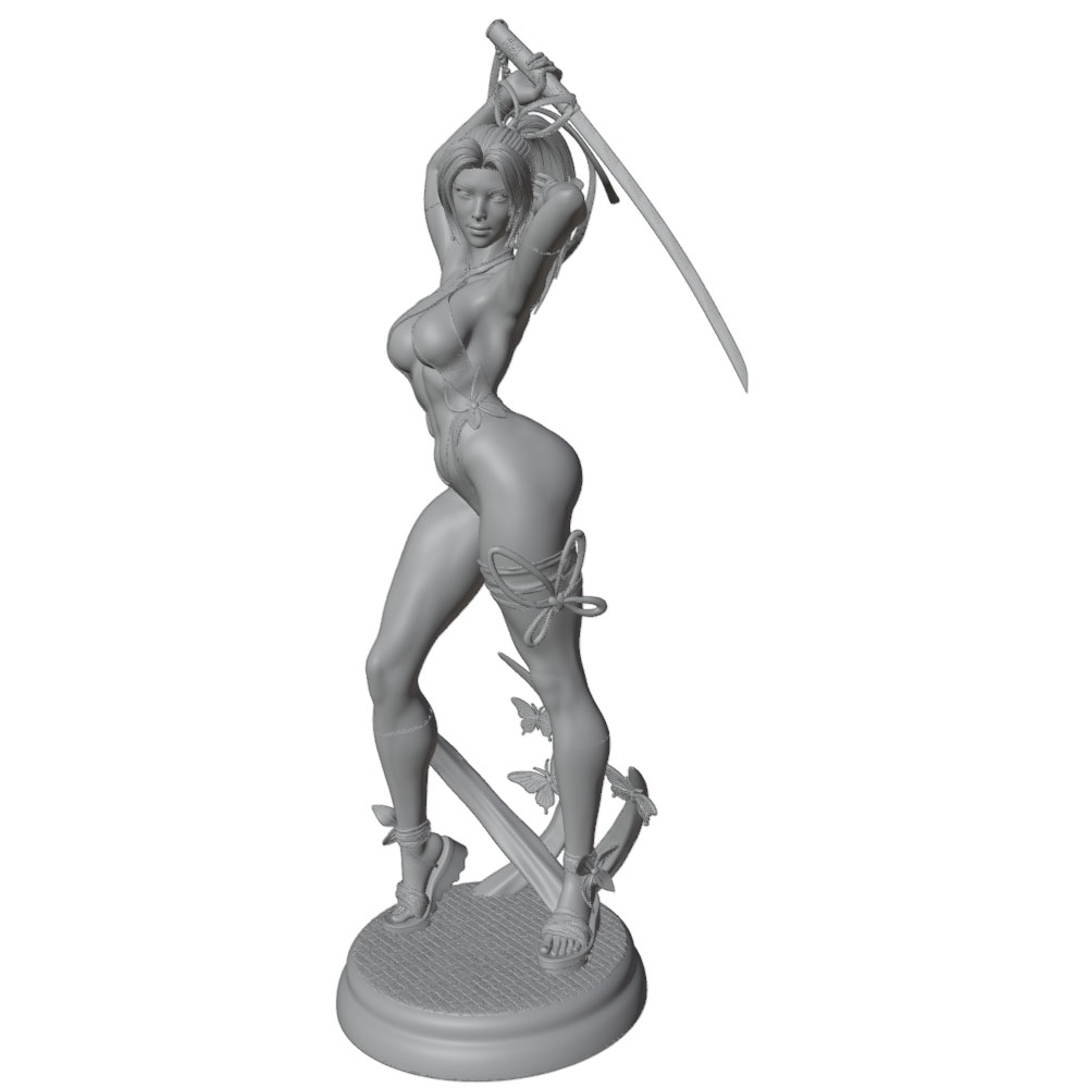 1/24 Female 	Warrior Resin Mod - Model Kit Hg recension och pris