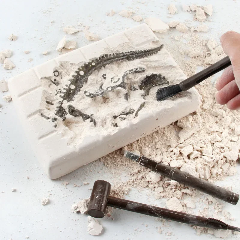 Dinosaur Excavation Fossil Arc - Model Kit Dinosaur recension och pris