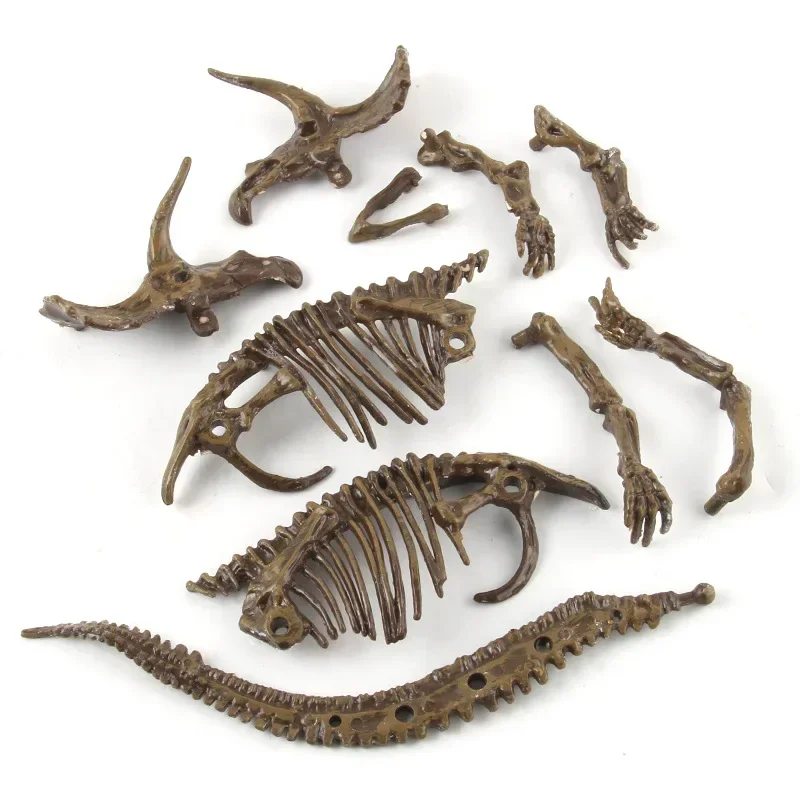 Dinosaur Excavation Fossil Arc - Model Kit Dinosaur recension och pris