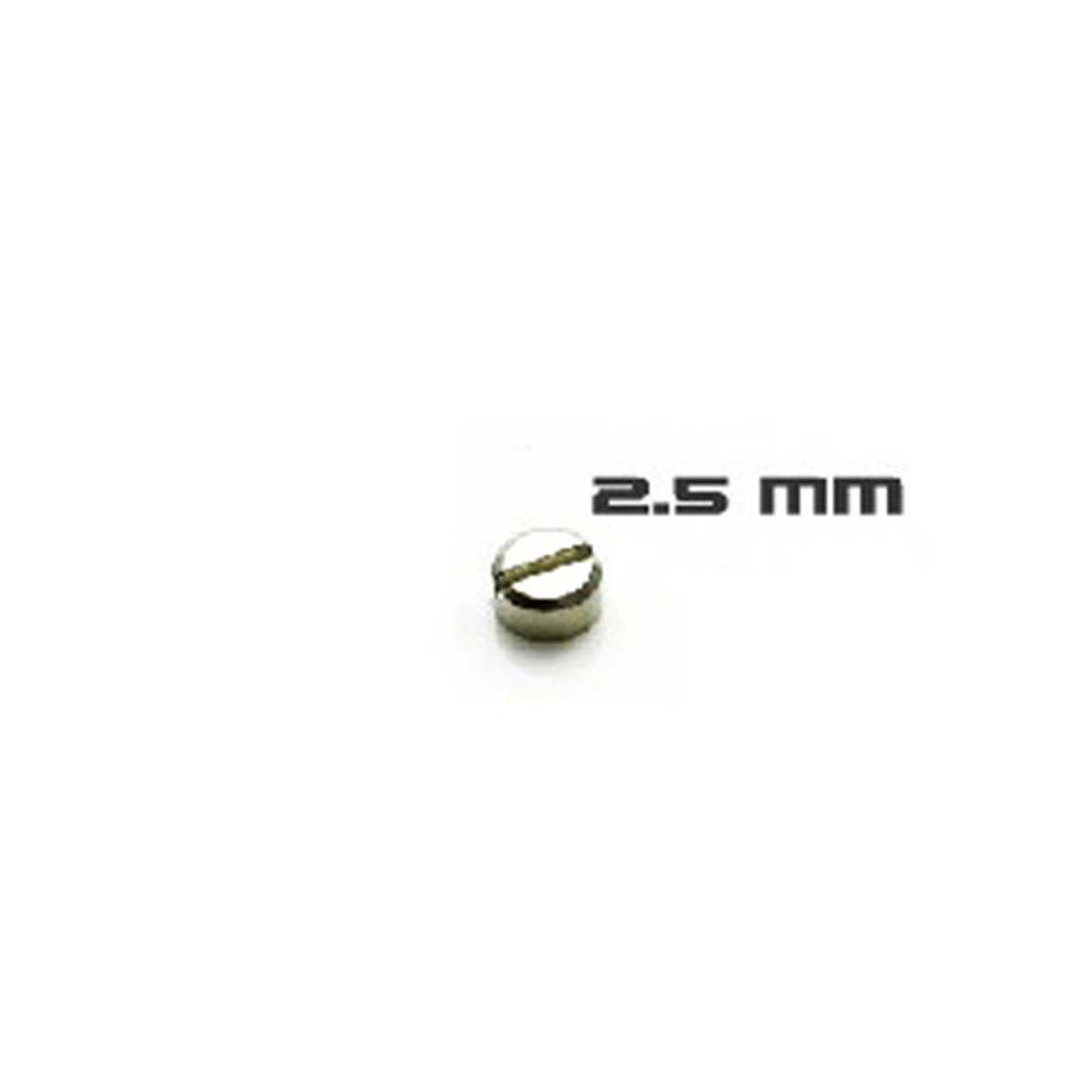 30pcs Armored Screws Model Sup - Model Kit Hg recension och pris